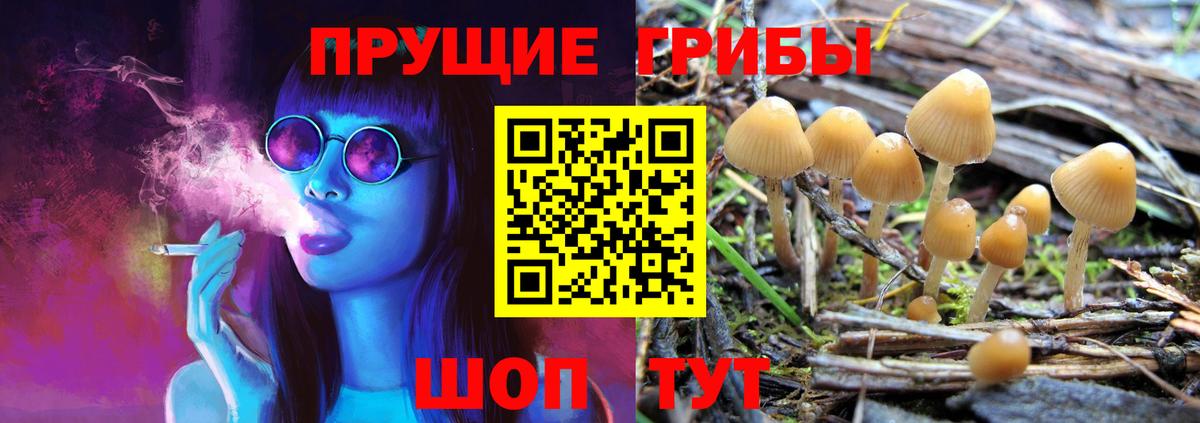 Галлюциногенные грибы GOLDEN TEACHER  Вход с VPN  Ангарск 
